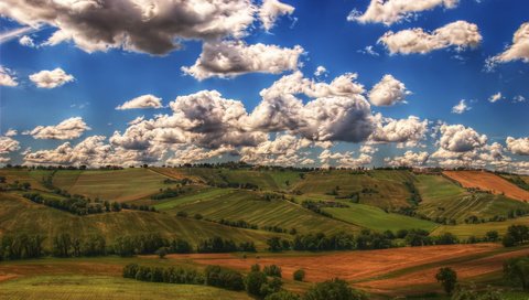 Обои небо, трава, облака, поле, the sky, grass, clouds, field разрешение 1920x1200 Загрузить