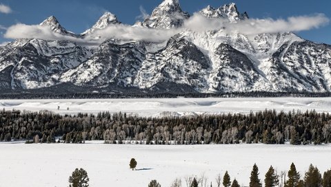 Обои деревья, горы, снег, лес, зима, сша, вайоминг, гранд-титон, trees, mountains, snow, forest, winter, usa, wyoming, grand teton разрешение 1920x1080 Загрузить