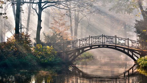 Обои деревья, природа, мостик, лучи, парк, кусты, романтика, речка, trees, nature, the bridge, rays, park, the bushes, romance, river разрешение 4288x2848 Загрузить