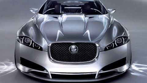 Обои ягуа́р, jaguar разрешение 1920x1080 Загрузить