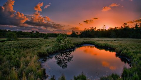 Обои трава, вода, природа, дерево, закат, отражение, лужа, grass, water, nature, tree, sunset, reflection, puddle разрешение 1920x1200 Загрузить