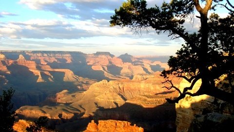 Обои дерево, день, каньон, высота, тени, солнечный свет, tree, day, canyon, height, shadows, sunlight разрешение 1920x1080 Загрузить