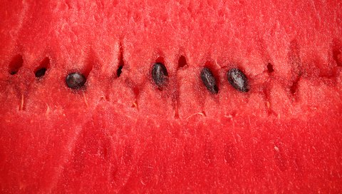 Обои макро, ягода, арбуз, мякоть, macro, berry, watermelon, the flesh разрешение 1920x1080 Загрузить