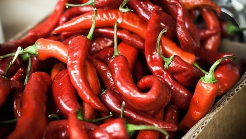 Обои еда, красный, чили, перец, овощи.перец, food, red, chile, pepper, vegetables.pepper разрешение 2560x1706 Загрузить