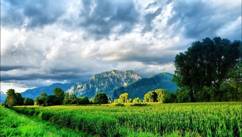 Обои небо, трава, облака, деревья, горы, природа, the sky, grass, clouds, trees, mountains, nature разрешение 1920x1200 Загрузить