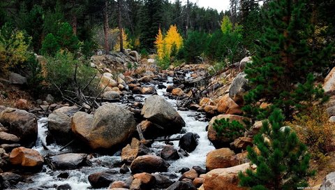 Обои небо, поток, деревья, вода, горы, природа, камни, пейзаж, ручей, the sky, trees, water, mountains, nature, stones, landscape, stream разрешение 1920x1080 Загрузить