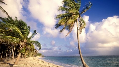 Обои небо, облака, вода, пейзаж, море, песок, пляж, пальмы, the sky, clouds, water, landscape, sea, sand, beach, palm trees разрешение 1920x1080 Загрузить