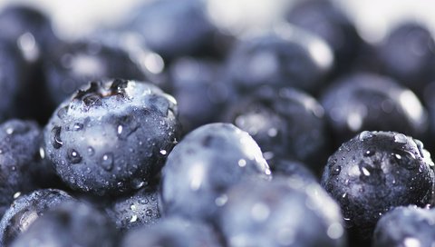 Обои капли, ягоды, урожай, черника, крупным планом, drops, berries, harvest, blueberries, closeup разрешение 1920x1200 Загрузить