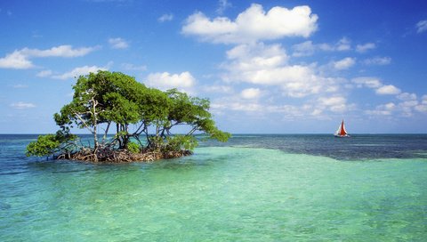 Обои деревья, горизонт, парусник, островок, мель, лазурь, trees, horizon, sailboat, island, stranded, lazur разрешение 1920x1080 Загрузить