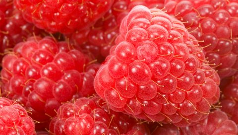 Обои макро, малина, ягода, спелая, красная малинка, macro, raspberry, berry, ripe, red raspberry разрешение 1920x1252 Загрузить