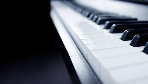 Обои клавиши, рояль, keys, piano разрешение 1920x1200 Загрузить