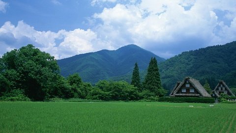 Обои небо, трава, деревья, горы, пейзаж, поле, домики, япония, the sky, grass, trees, mountains, landscape, field, houses, japan разрешение 1920x1200 Загрузить