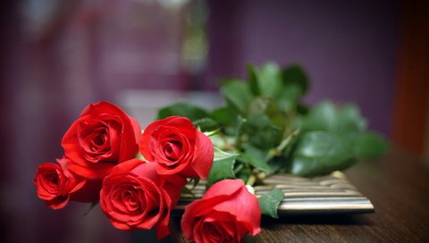 Обои цветы, розы, красные, букет, flowers, roses, red, bouquet разрешение 2560x1600 Загрузить