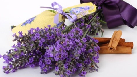 Обои цветы, лаванда, корица, букет, ленточка, flowers, lavender, cinnamon, bouquet, ribbon разрешение 2560x1600 Загрузить