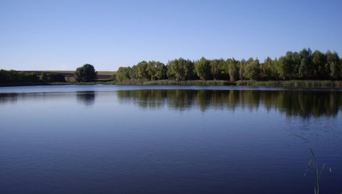 Обои деревья, озеро, лес, горизонт, лето, trees, lake, forest, horizon, summer разрешение 2592x1944 Загрузить