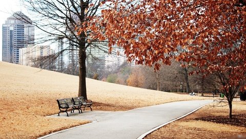 Обои парк, осень, скамейка, алея, park, autumn, bench, alley разрешение 1920x1080 Загрузить