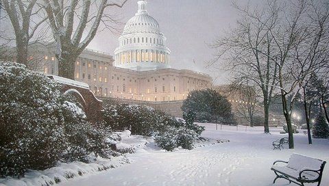 Обои парк, вашингтон, сша, капитолий, холм, park, washington, usa, capitol, hill разрешение 1944x1290 Загрузить