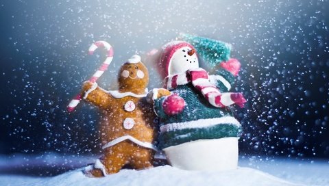 Обои снег, 2013, сувениры, новый год, пряник, макро, снеговик, игрушки, праздник, печенька, с новым годом, snow, souvenirs, new year, gingerbread, macro, snowman, toys, holiday, cookie, happy new year разрешение 2560x1600 Загрузить