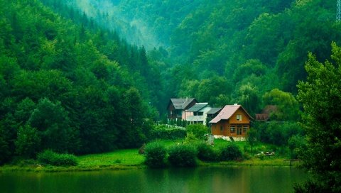 Обои деревья, река, зелень, лес, кусты, домики, trees, river, greens, forest, the bushes, houses разрешение 1920x1080 Загрузить