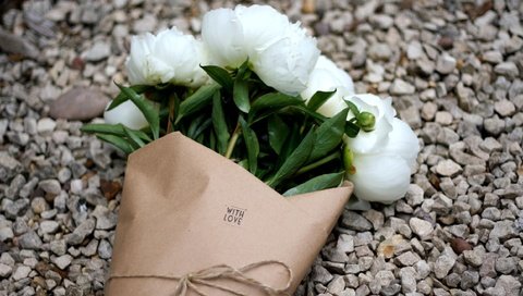 Обои букет, белые, гравий, пионы, bouquet, white, gravel, peonies разрешение 2500x1647 Загрузить