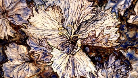 Обои рисунок, цветок, техника, акварель, figure, flower, technique, watercolor разрешение 1920x1440 Загрузить