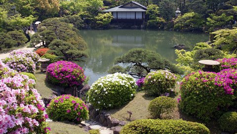 Обои цветы, домик, cvety, yaponskij sad, domik, японский сад, flowers, house, japanese garden разрешение 3200x2130 Загрузить