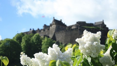 Обои цветы, замок, весна, белая, сирень, боке, сирена, cvety, zamok, flowers, castle, spring, white, lilac, bokeh, siren разрешение 3000x2000 Загрузить