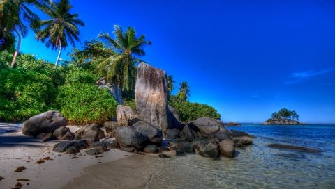 Обои песок, пляж, пальмы, тропики, sand, beach, palm trees, tropics разрешение 1920x1080 Загрузить