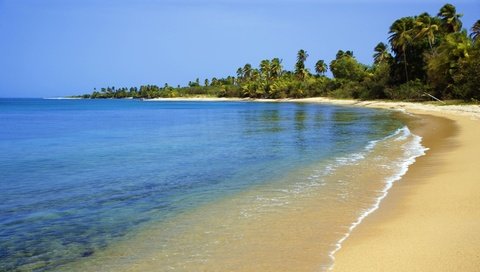 Обои песок, пляж, пальмы, тропики, sand, beach, palm trees, tropics разрешение 1920x1080 Загрузить