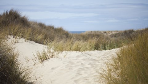 Обои небо, трава, природа, море, песок, дюны, the sky, grass, nature, sea, sand, dunes разрешение 2560x1600 Загрузить