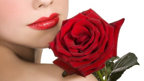 Обои девушка, бархатная, цветок, роза, красная, модель, губы, лицо, красная помада, girl, velvet, flower, rose, red, model, lips, face, red lipstick разрешение 1920x1200 Загрузить