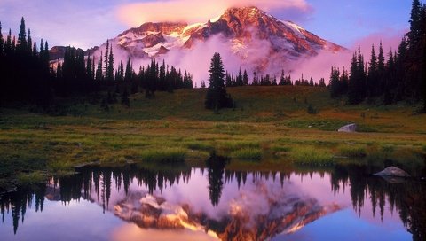 Обои трава, озеро, горы, лес, закат, отражение, луг, grass, lake, mountains, forest, sunset, reflection, meadow разрешение 1920x1200 Загрузить