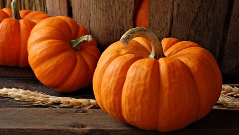 Обои осень, пшеница, урожай, овощи, колос, тыквы, autumn, wheat, harvest, vegetables, ear, pumpkin разрешение 2560x1600 Загрузить