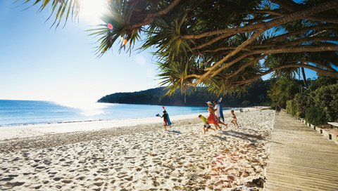 Обои пляж, пальмы, тропики, beach, palm trees, tropics разрешение 3464x2309 Загрузить