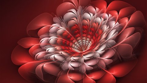 Обои цветы, абстракция, графика, фрактал, 3д, flowers, abstraction, graphics, fractal, 3d разрешение 1920x1200 Загрузить