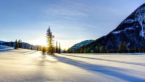 Обои зима, winter разрешение 2560x1600 Загрузить