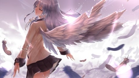 Обои девушка, аниме, ангел, крылышки, svet, krylya, perya, anime girls, angel beats!, tachibana kanade, girl, anime, angel, wings разрешение 1920x1357 Загрузить