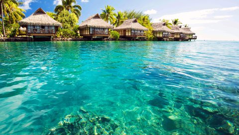 Обои море, бунгало, тропики, sea, bungalow, tropics разрешение 5149x3386 Загрузить