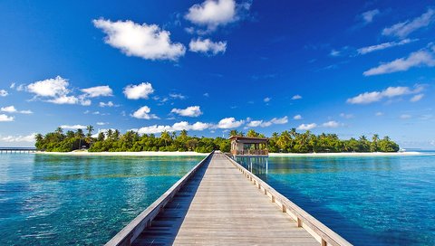 Обои море, остров, тропики, мальдивы, sea, island, tropics, the maldives разрешение 1920x1281 Загрузить
