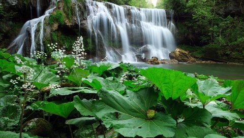 Обои деревья, растения, лес, листья, водопад, речка, trees, plants, forest, leaves, waterfall, river разрешение 2048x1348 Загрузить