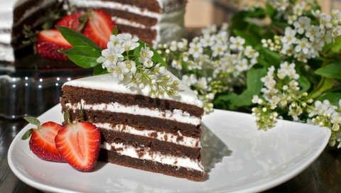 Обои крем для торта, клубника, сладкое, торт, кусок, черемуха, cream cake, strawberry, sweet, cake, piece, cherry разрешение 2100x1440 Загрузить