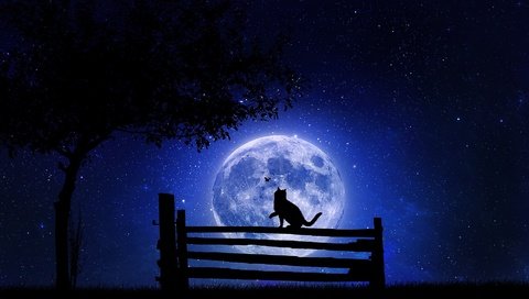 Обои кот на фоне луны, cat on the moon разрешение 1920x1080 Загрузить