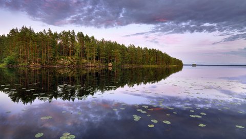 Обои деревья, озеро, лес, швеция, остров, швеции, lake teen, n__rke, trees, lake, forest, sweden, island разрешение 1920x1200 Загрузить