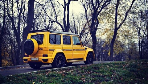 Обои желтый, осень, внедорожник, мерседес, мерседес бенц, g63, mansory gronos, yellow, autumn, suv, mercedes, mercedes benz разрешение 1920x1080 Загрузить