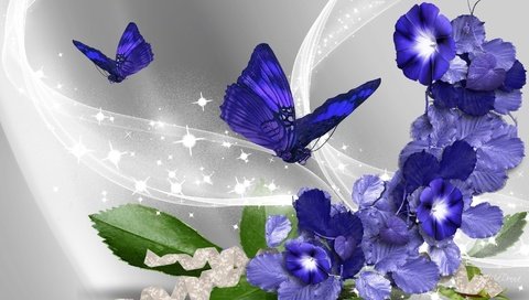 Обои цветы, бабочки, flowers, butterfly разрешение 1920x1080 Загрузить