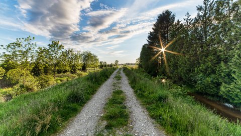 Обои дорога, деревья, солнце, пейзаж, road, trees, the sun, landscape разрешение 2374x1500 Загрузить