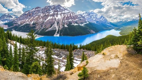 Обои канада, национальный парк банф, peyto lake, ab, canada, banff national park разрешение 2560x1600 Загрузить