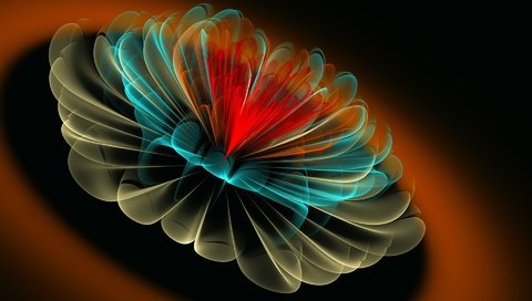 Обои цветок, лепестки, тень, фрактал, 3d линии, flower, petals, shadow, fractal, 3d line разрешение 1920x1200 Загрузить