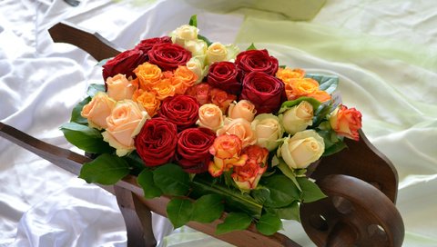 Обои желтый, розы, красный, белый, букет, тележка, тачка, yellow, roses, red, white, bouquet, truck, car разрешение 2560x1600 Загрузить