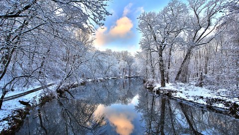 Обои река, снег, лес, зима, отражение, river, snow, forest, winter, reflection разрешение 1920x1200 Загрузить